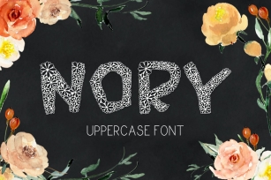 Nory font Font Download