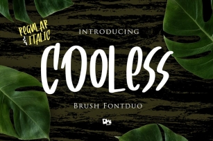 Cooless - Brush Font Font Download