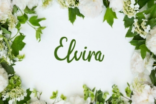 Elvira Font Download