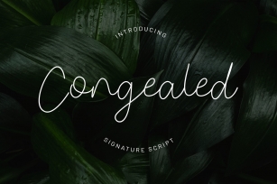 Congealed - Signature Font YR Font Download
