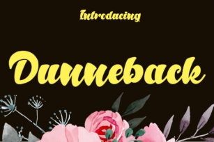 Dunneback Font Download
