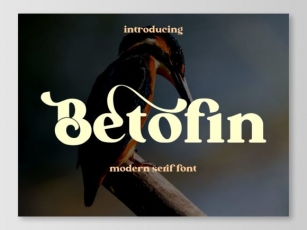 Betofin Font Download