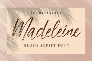 Madeleine - Brush Script Font Font Download