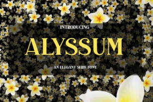 Alyssum Font Download