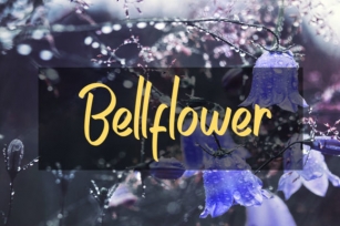 Bellflower Font Download