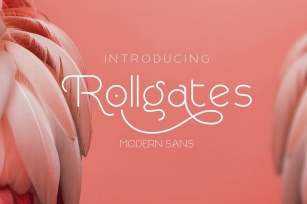 Rollgates Modern Sans Serif Font Download