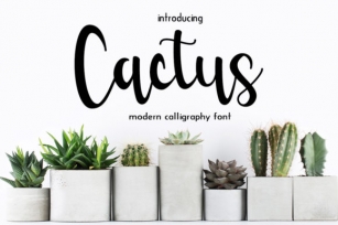 Cactus Font Download
