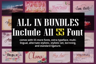 All In Bundles || Include 55 Font Font Download