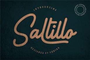 Saltillo | Script Font Font Download