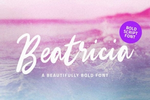 Beatricia | Modern Script Font Font Download
