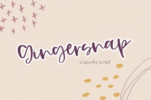 Gingersnap Script Font Font Download