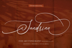 Sandrina - Elegant Script Font Font Download