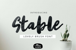 Stable Brush Font Font Download