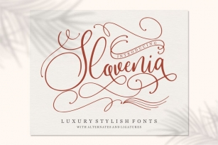 Slovenia | Calligraphy Font Font Download