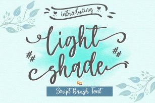 Light Shade - Beauty Script Brush Font Font Download