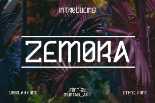Zemora | Modern Font Font Download