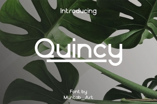 Quincy | Elegant Font Font Download