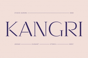 Kangri - Unique Elegant Stencil Serif Font Download