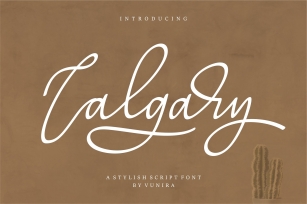Calgary | A Stylish Script Font Font Download