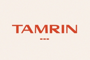 TAMRIN - Modern Sans Font Font Download