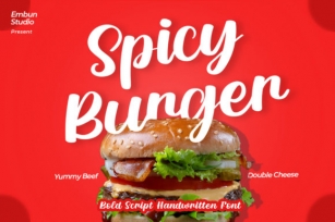 Spicy Burger Font Download