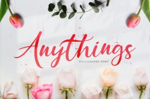 Anythings Font Download