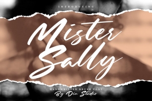 Mister Sally-Beautiful Handwritten Brush Font Font Download