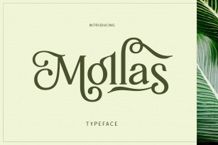 Mollas Typeface Font Download