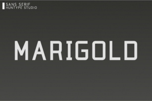 Marigold Font Download