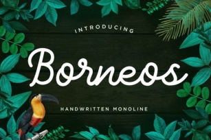 Borneos Font Download