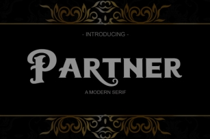 Partner Font Download