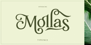 Mollas Font Download