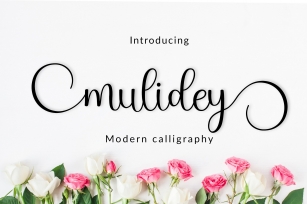 Mulidey Font Download