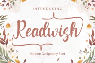 Readwash - Modern Calligraphy Font Font Download