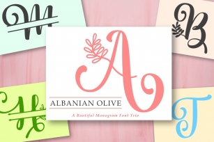 Albanian Olive Monogram | Font Trio Font Download