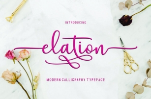 Elation Font Download
