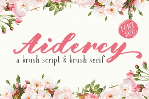 Aidercy Handmade Duo Font Download