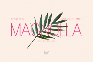 Magnolla  Font Download