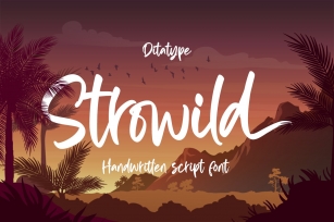 Strowild-Modern Handwritten Font Font Download