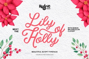 Lily Of Holy - Beauty Script Christmas Font Download