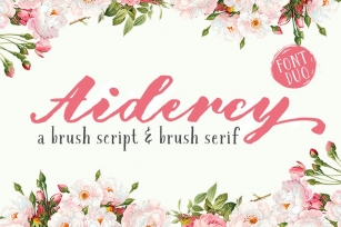 Aidercy Brush Font Download