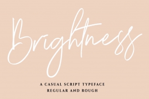 Brightness - a Brush Script Font Font Download