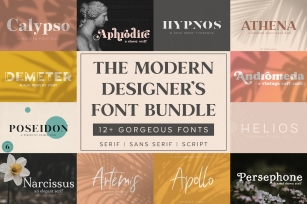 The Modern Designers Font Bundle Font Download