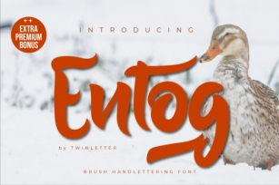 Entog Font Download