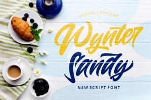 Wynter Sandy - Bold Script Font Font Download