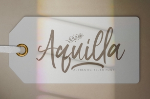 Aquilla - Brush Script Font Font Download