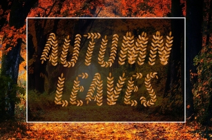 Autumn Leaves SVG Font Font Download