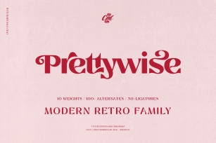 Prettywise Modern Retro Font Font Download