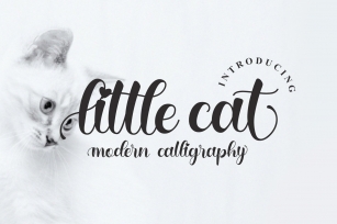 little cat Font Download