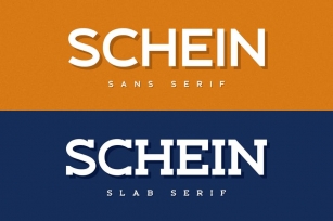 Schein - Sans & Slab Font Download